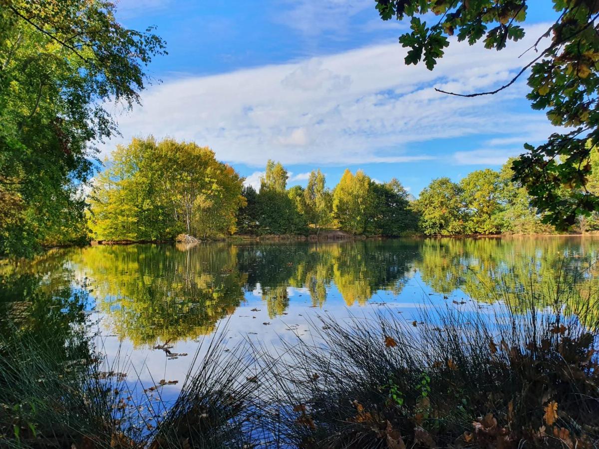 Ferienwohnung Am See Dillich - Eigener Garten - Ruhige Lage - Natur Vor Der Haustuer Borken  Екстер'єр фото