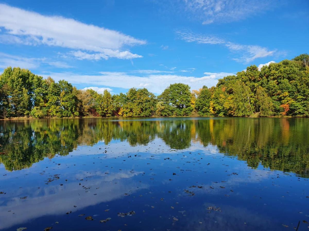 Ferienwohnung Am See Dillich - Eigener Garten - Ruhige Lage - Natur Vor Der Haustuer Borken  Екстер'єр фото