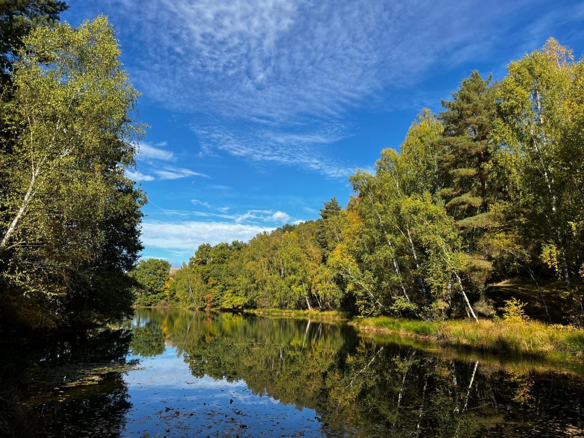 Ferienwohnung Am See Dillich - Eigener Garten - Ruhige Lage - Natur Vor Der Haustuer Borken  Екстер'єр фото