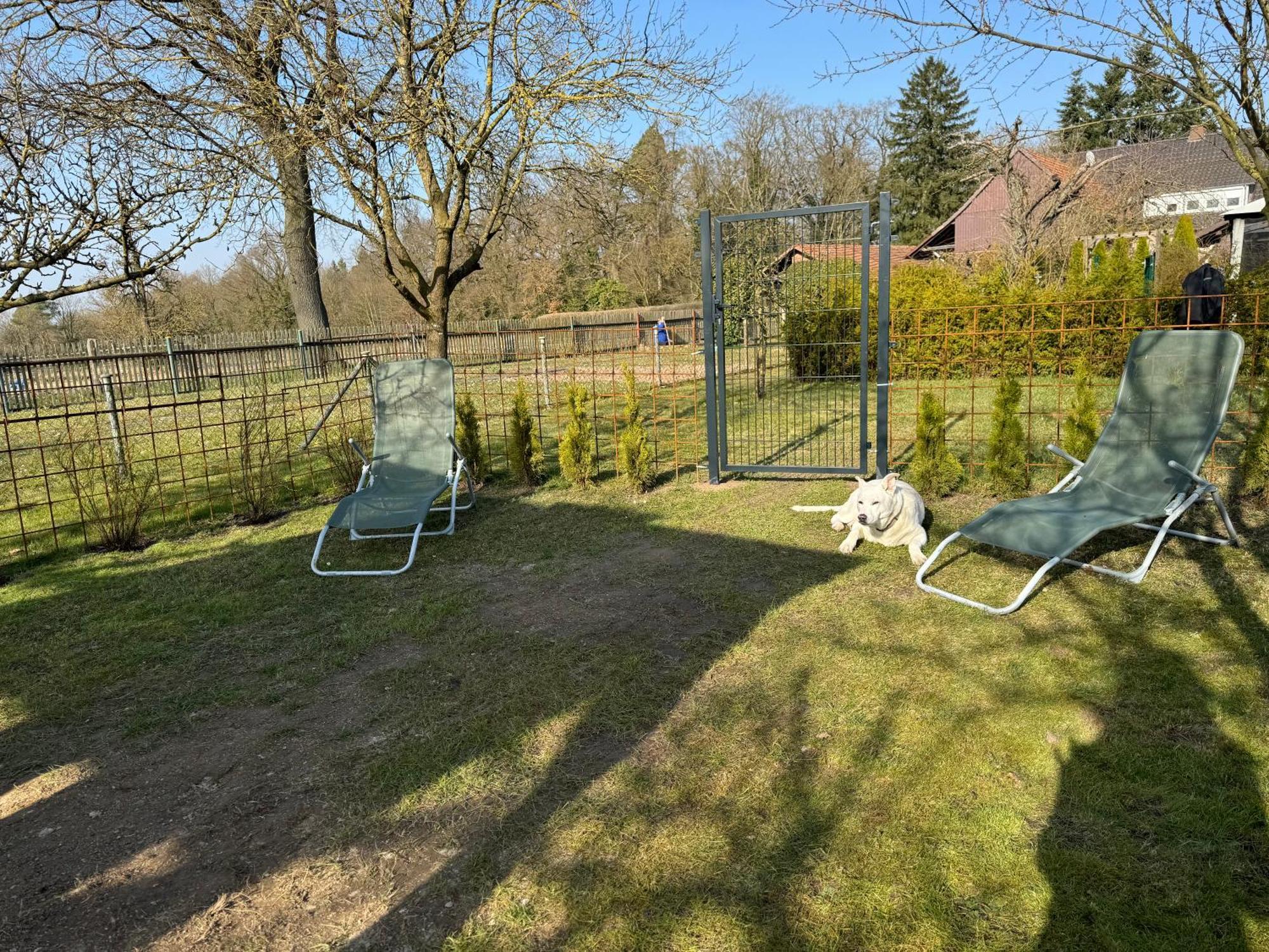 Ferienwohnung Am See Dillich - Eigener Garten - Ruhige Lage - Natur Vor Der Haustuer Borken  Екстер'єр фото